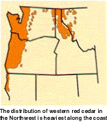 [map of Pacific Northwest with cedar groves indicated]