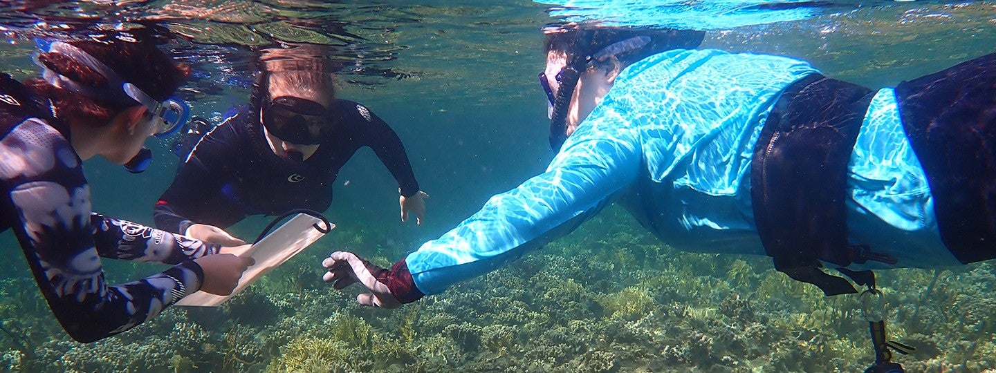 OIMB divers collecting samples