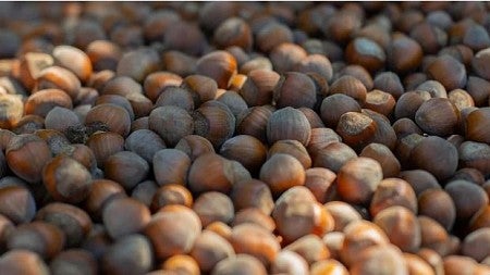 Close-up of a pile of hazelnuts, or filberts